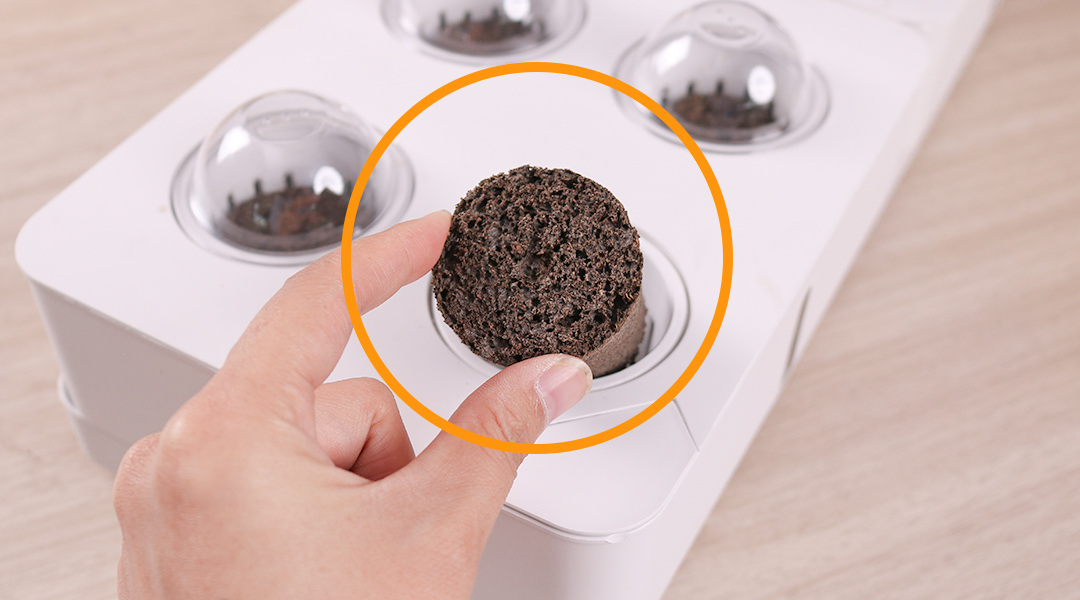 Put sustrate into busket hydroponic kit for home