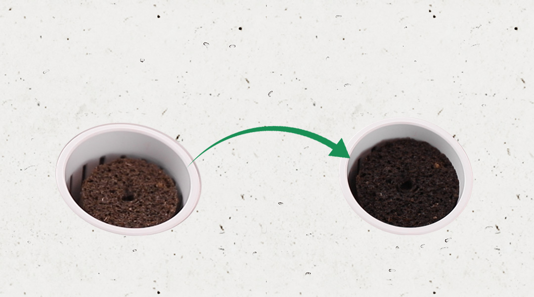 Sustrate Soaking Hydroponic Plants Exporter