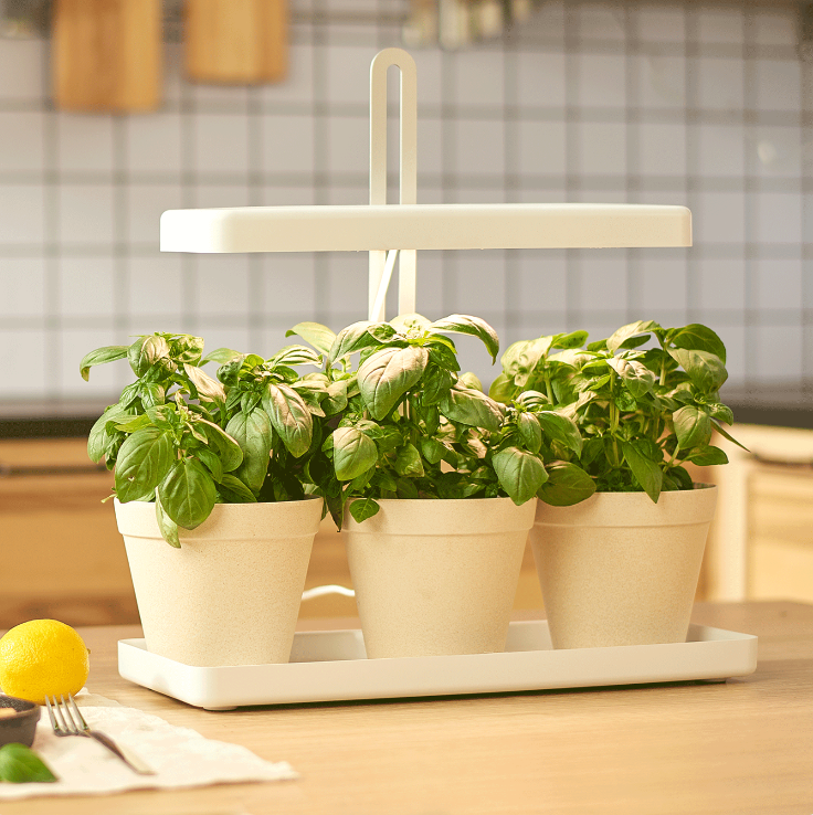 led grow lights for flowering supplier