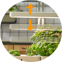 Height Adjustable