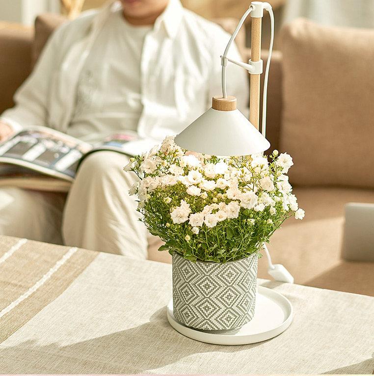 deco mini garden manufacturer