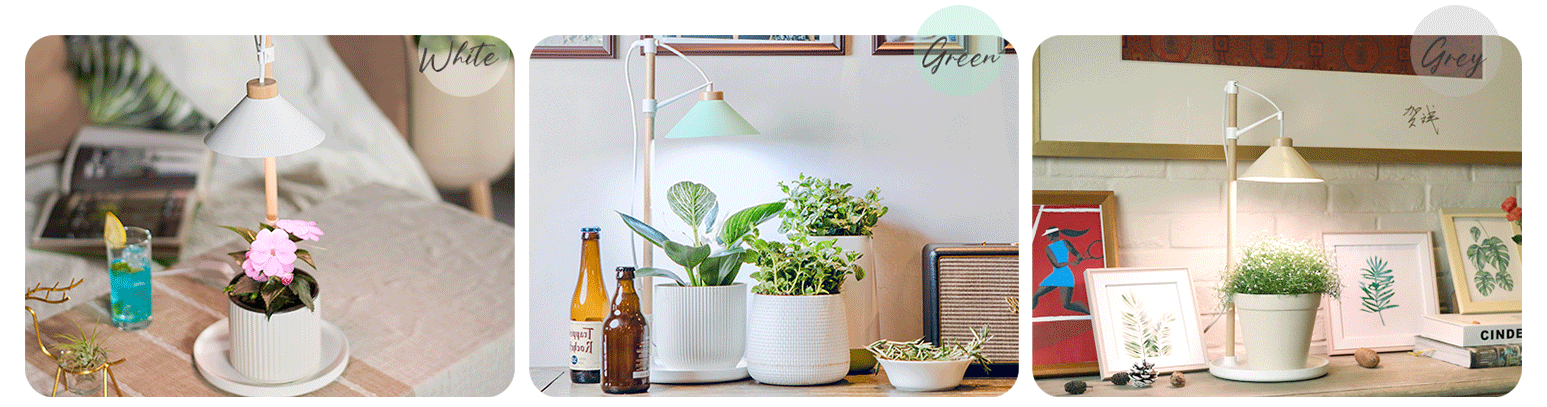 deco mini garden supplier