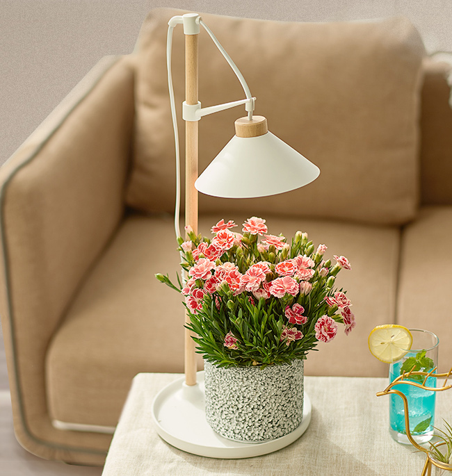 PRODUCT SELLING POINTS