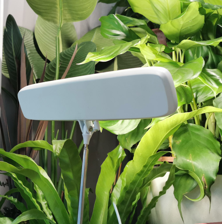 decorative grow lights manufacturer