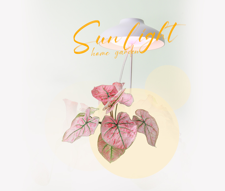 desk grow lamp manufacturer