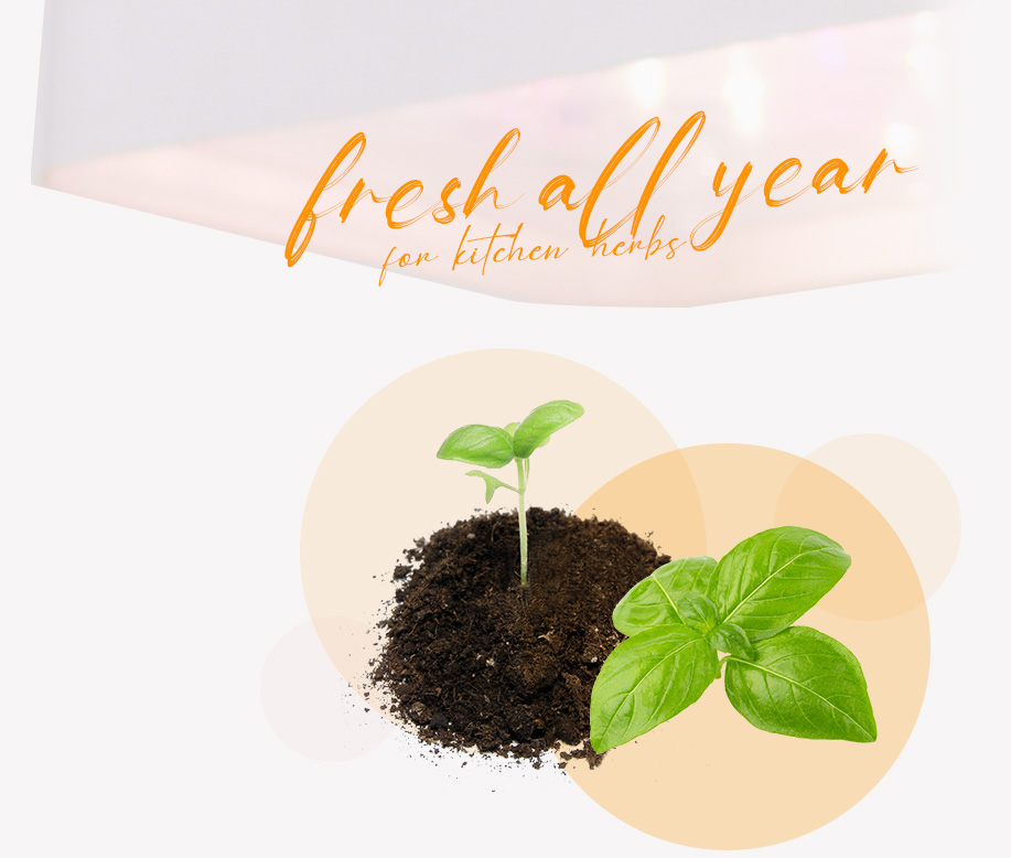 herb grow light