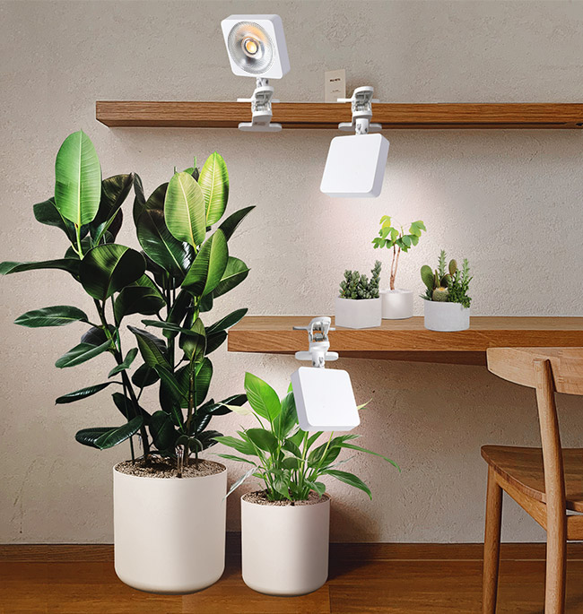 CL101 Full Spectrum DIY LED Grow Lights Indoor House Plant Lights