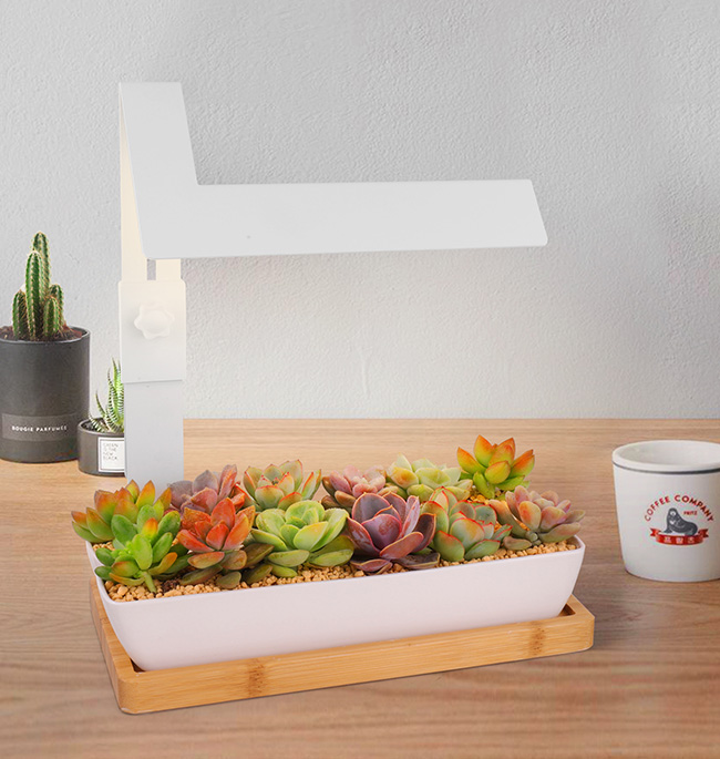 Scientific Plant Lighting and Design