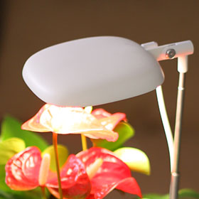 germination kit factory