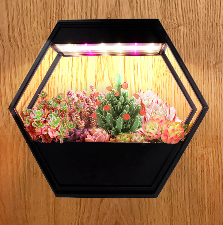 grow herbs factory