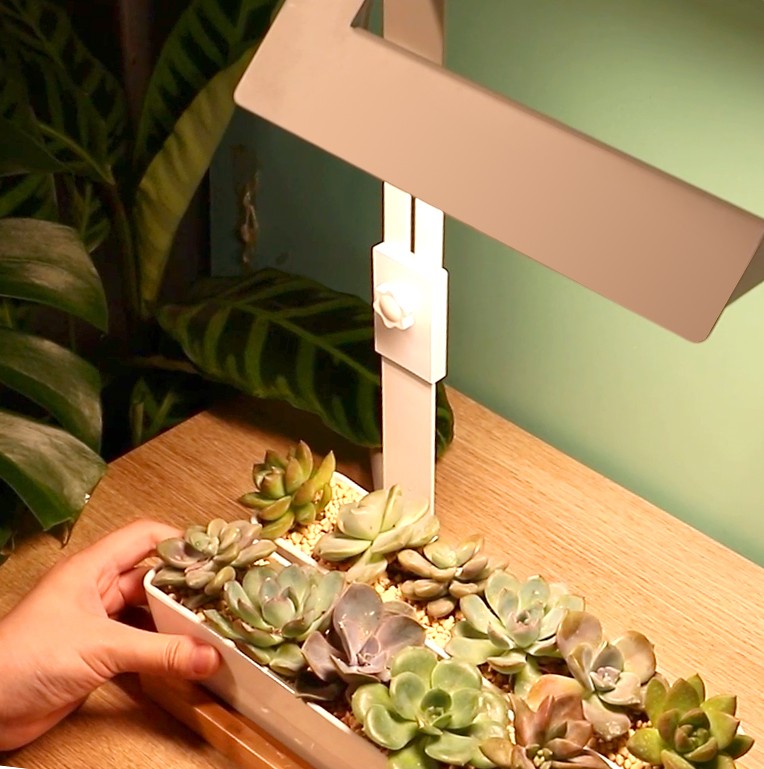 grow light garden OEM