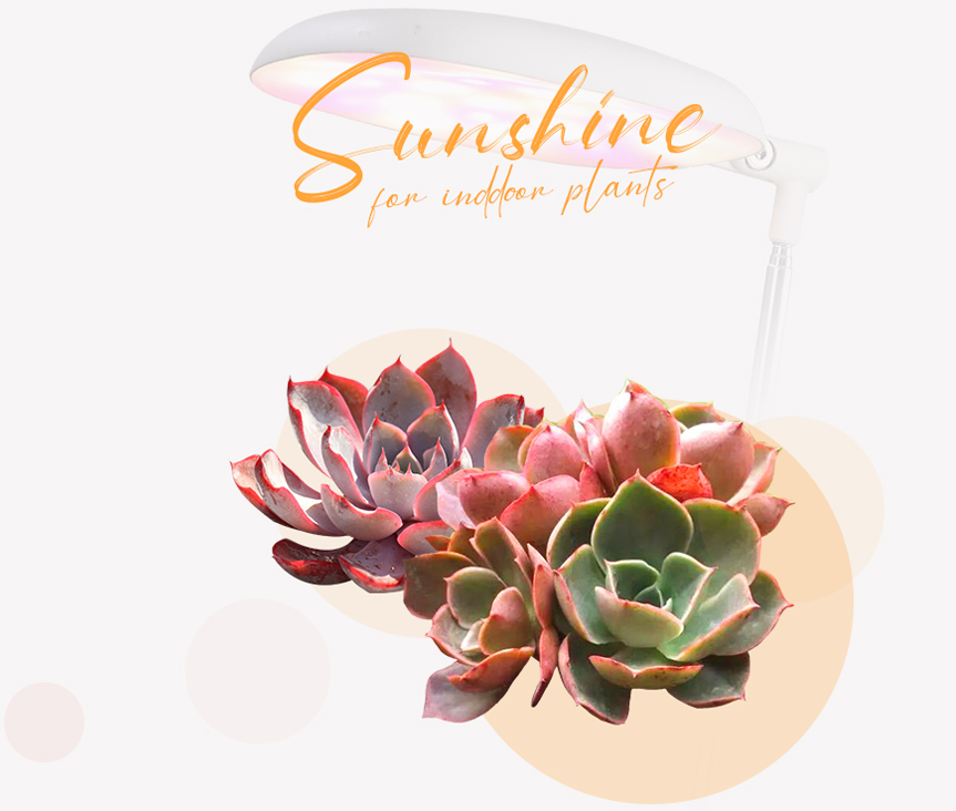 grow lights wholesale