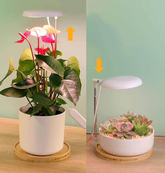 PRODUCT SELLING POINTS