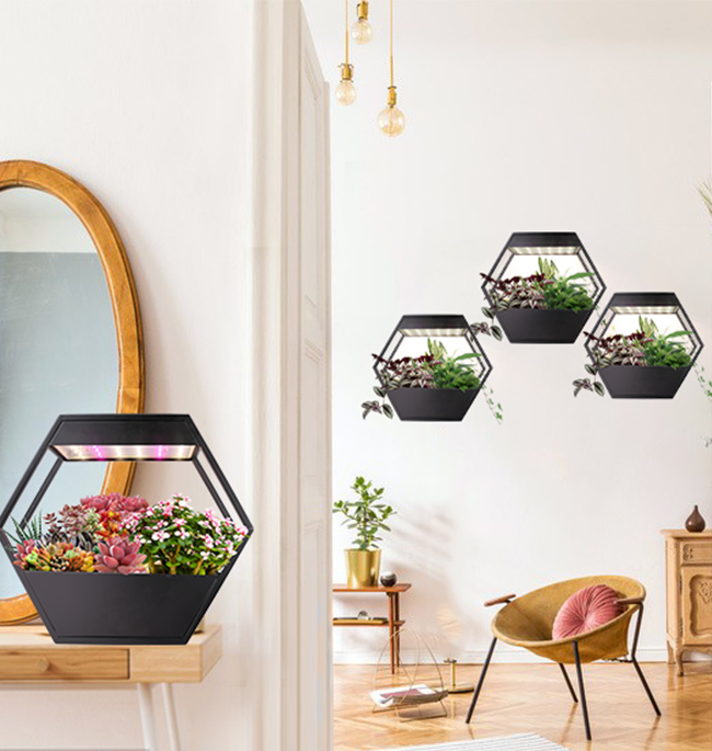 Product Selling Points