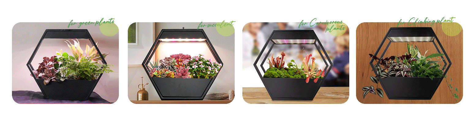 hanging lights with plants wholesaler
