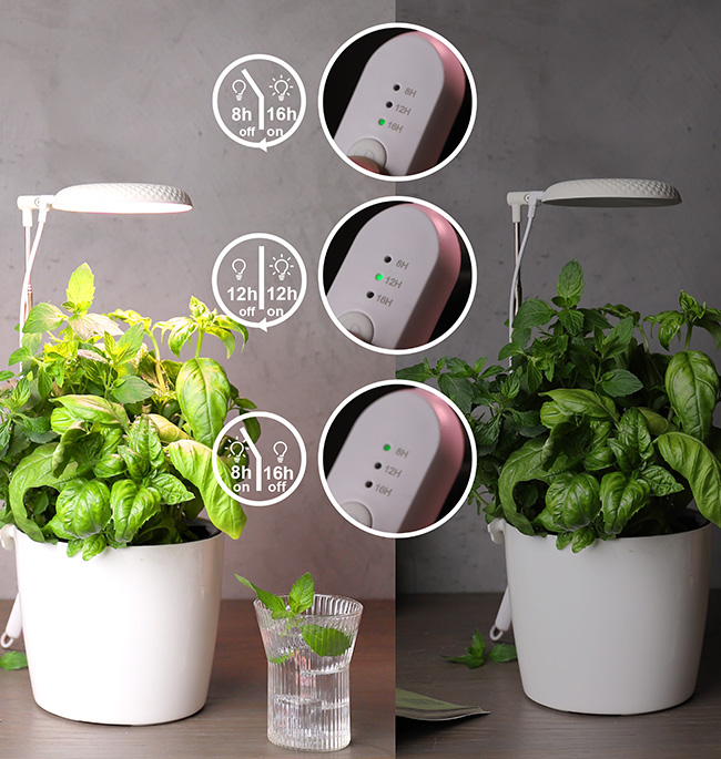 Product Selling Points