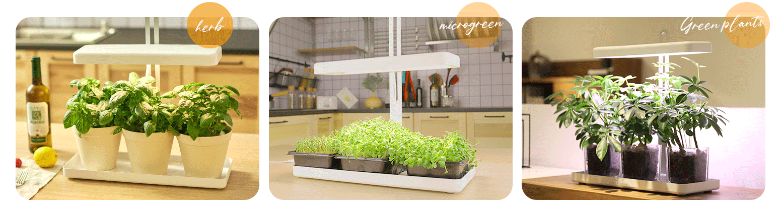 herb grow light wholesale