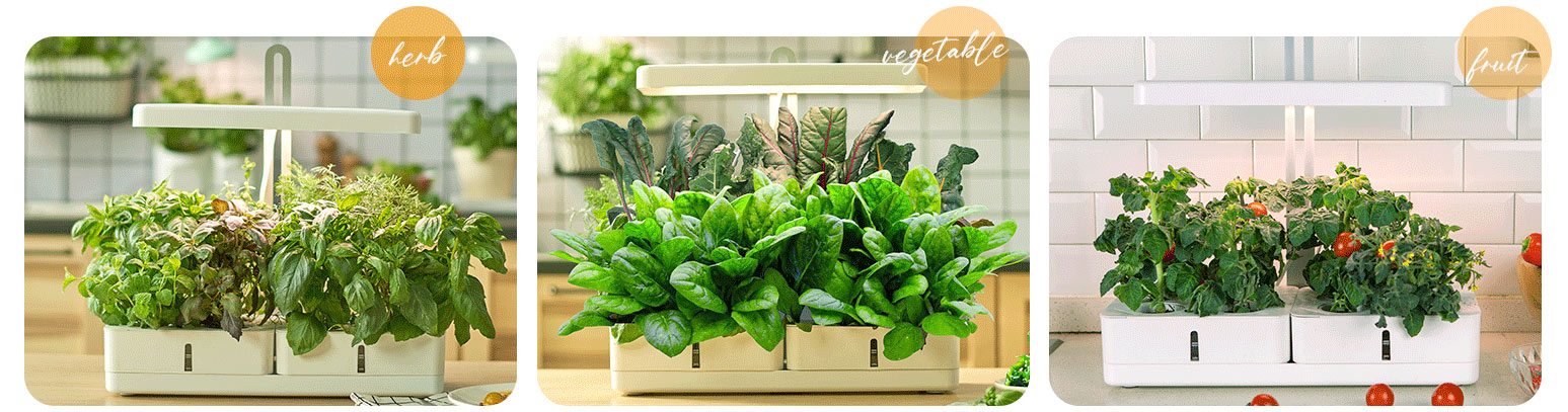 hydroponic garden kit exporter