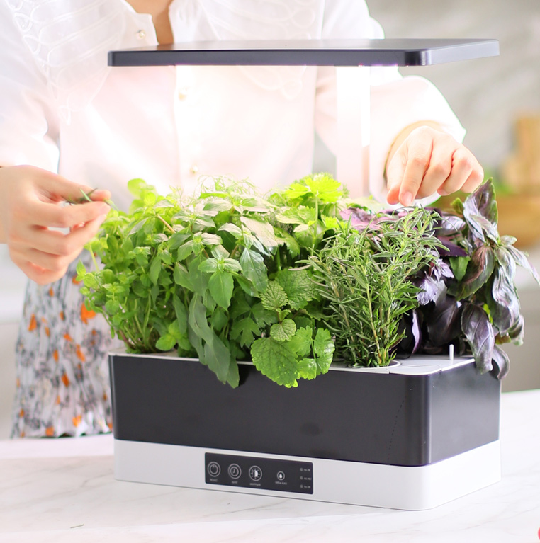 hydroponic grow kit manufacturer