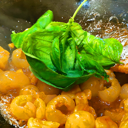 hydroponic grow kit supplier