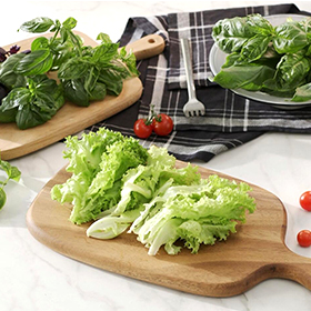 hydroponic grow lights exporter