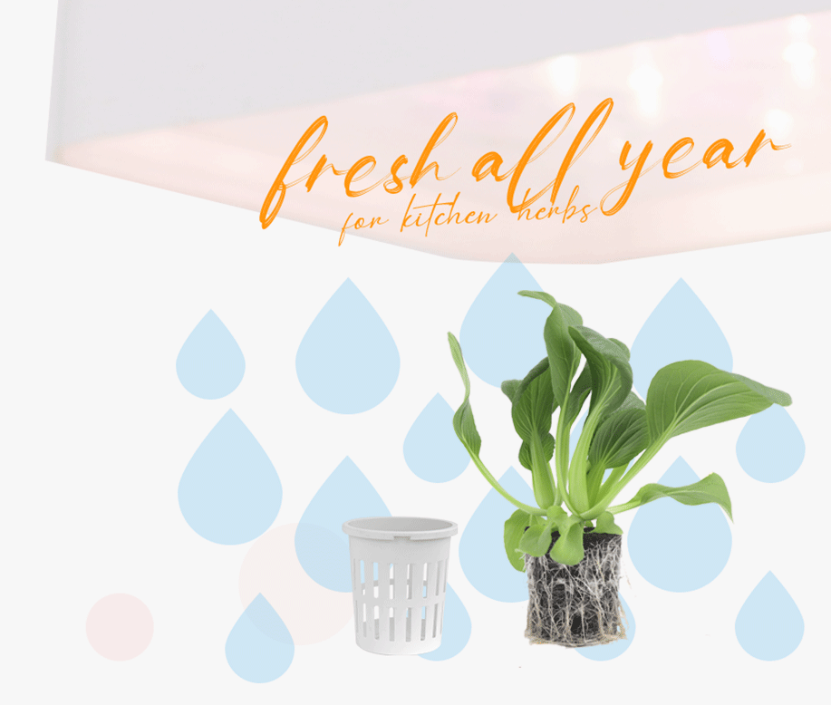 hydroponic grow lights manufacturer