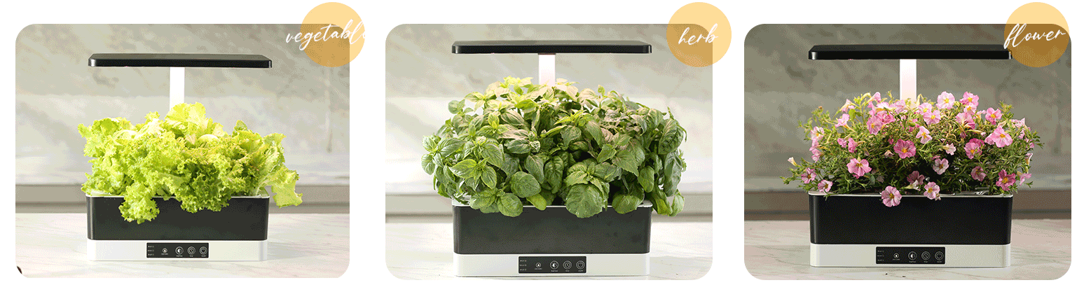 hydroponic growing OEM
