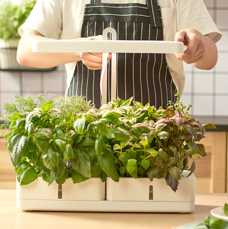 hydroponics box OEM