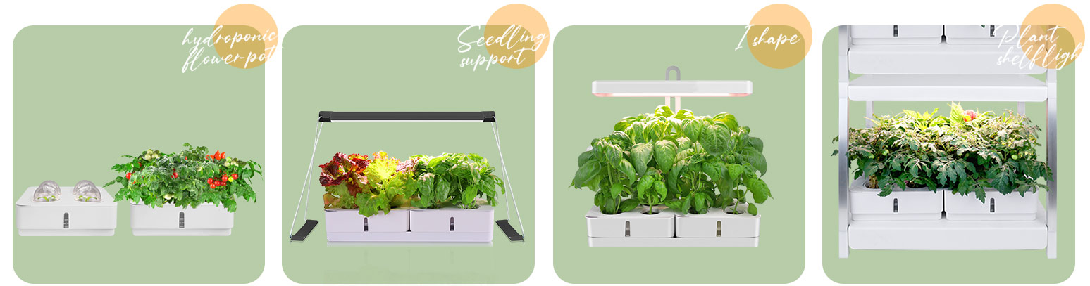 hydroponics box factory