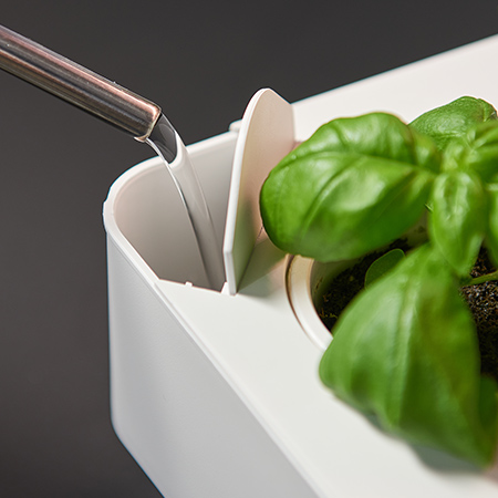 hydroponics box supplier