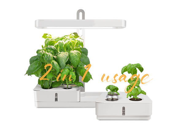 hydroponics box wholesaler