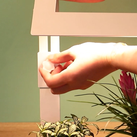 indirect light plants factory