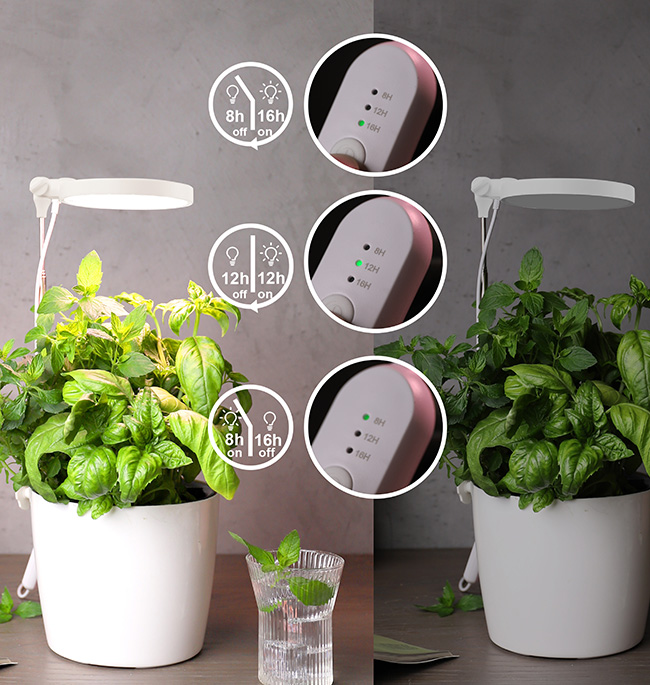 Product Selling Points