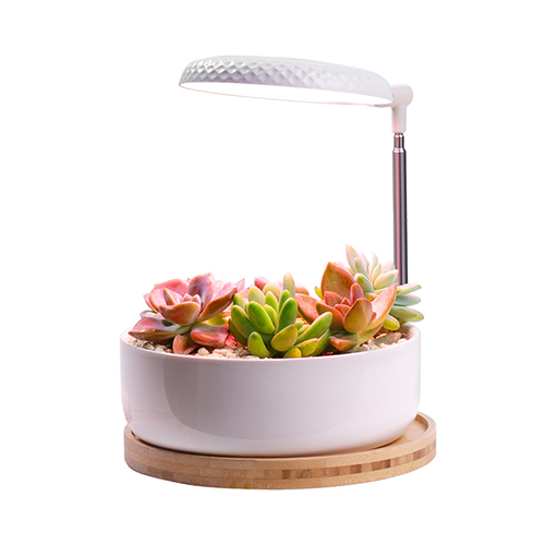 indoor herb garden with light wholesale