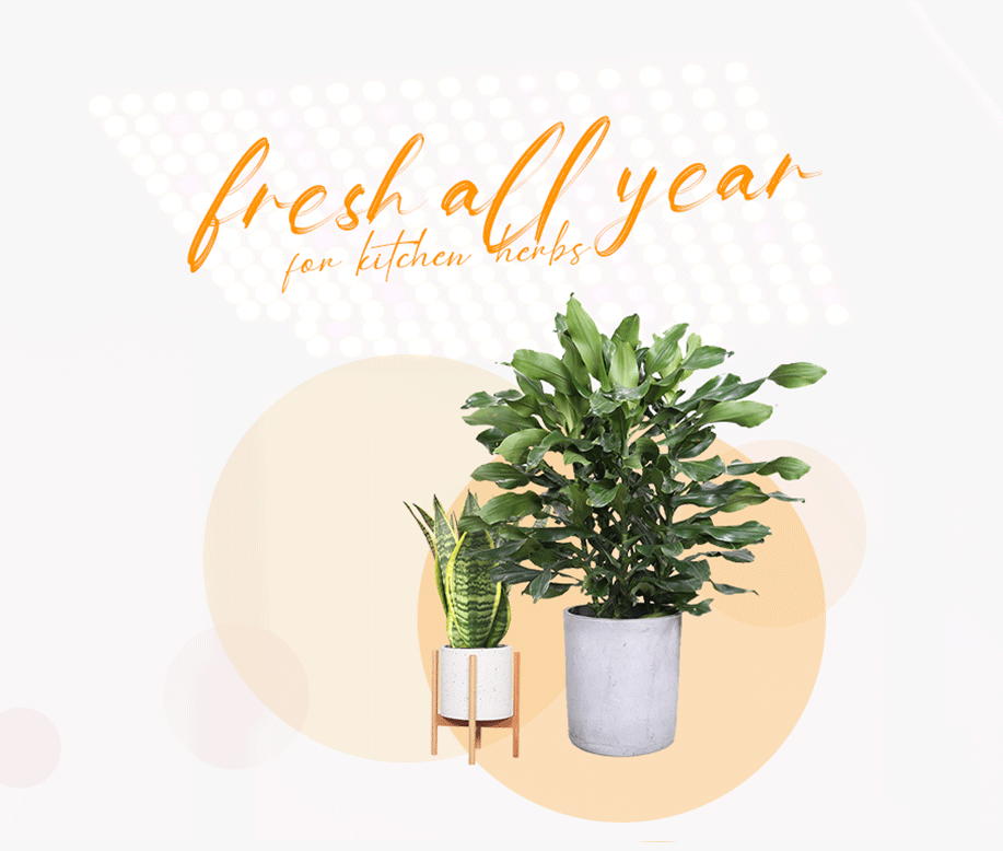 indoor home garden OEM