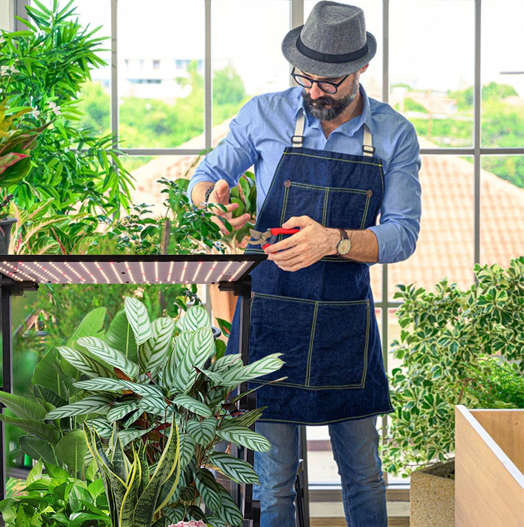 indoor home garden factory