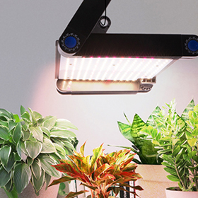 indoor home garden supplier