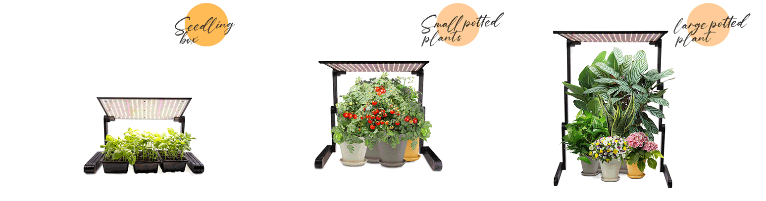 indoor home garden supplier