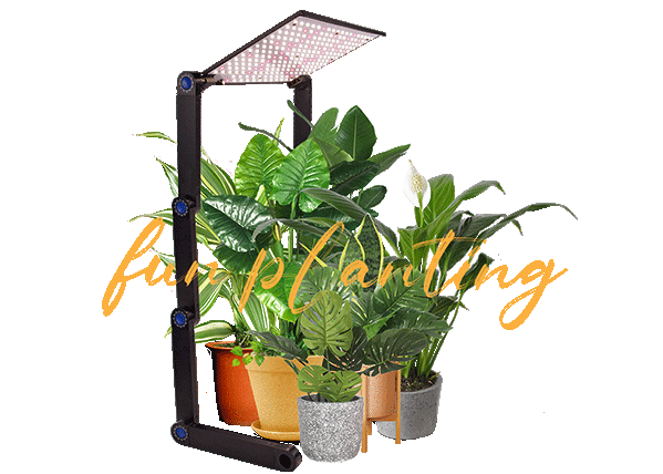 indoor-home-garden