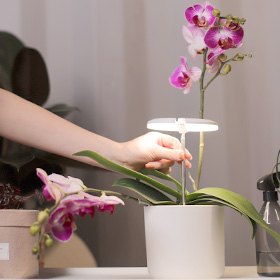 indoor house plant lights supplier