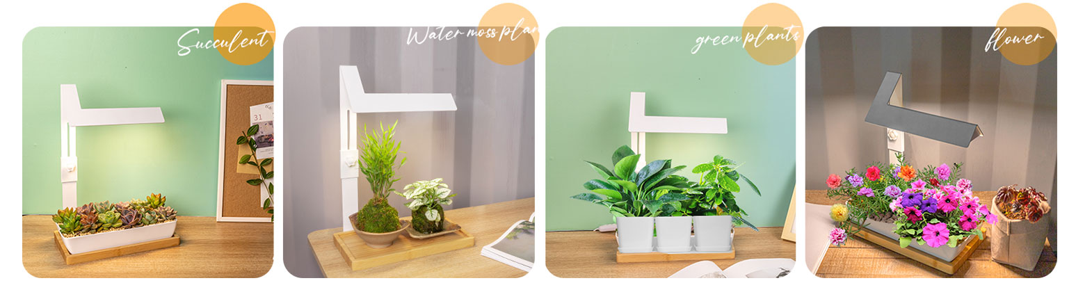 indoor led grow lights wholesaler