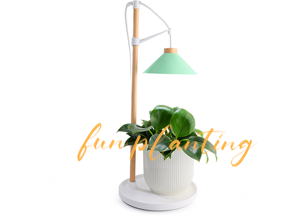 indoor plant growing kit supplier