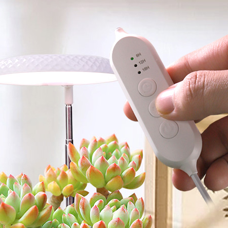 indoor plant lights decorative