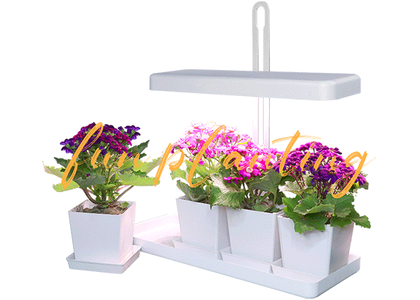 indoor vegetable garden kit wholesale