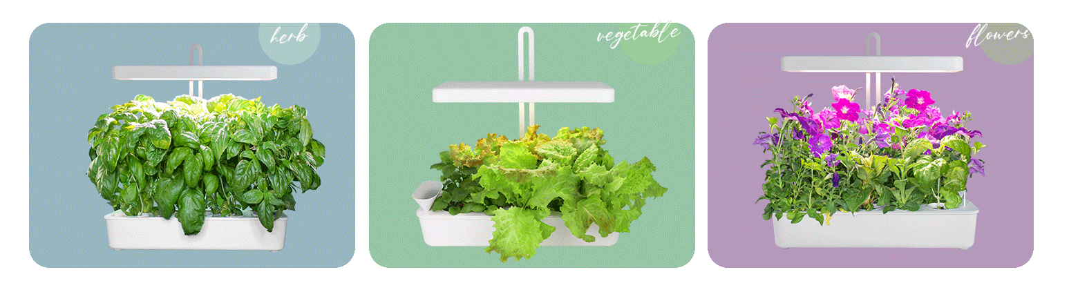 indoor vegetable garden system wholesale