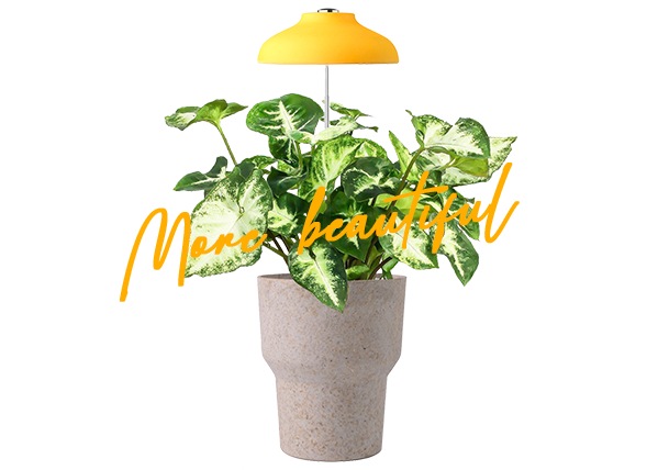 inexpensive grow light manufacturer