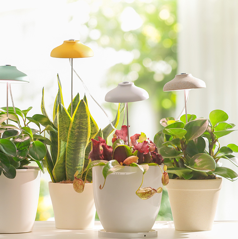 kitchen grow light exporter