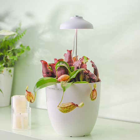 kitchen grow light manufacturer