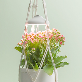 kitchen grow light supplier