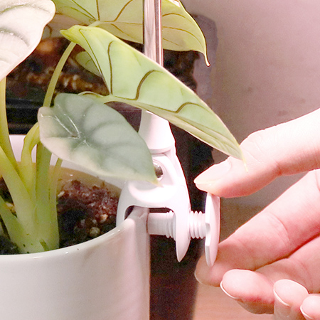led for growing plants factory